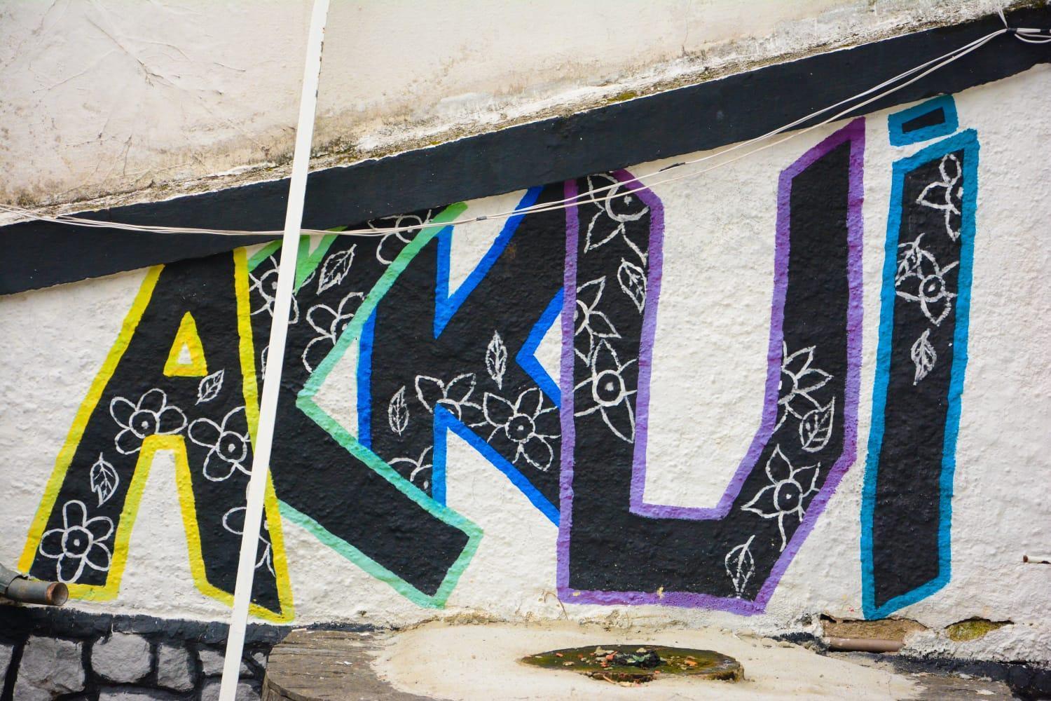 Mansao Akkui Hostel Sao Paulo Exterior photo